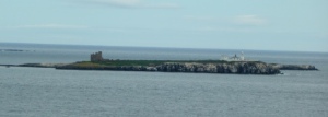 Farne Island view from Bamburgh
